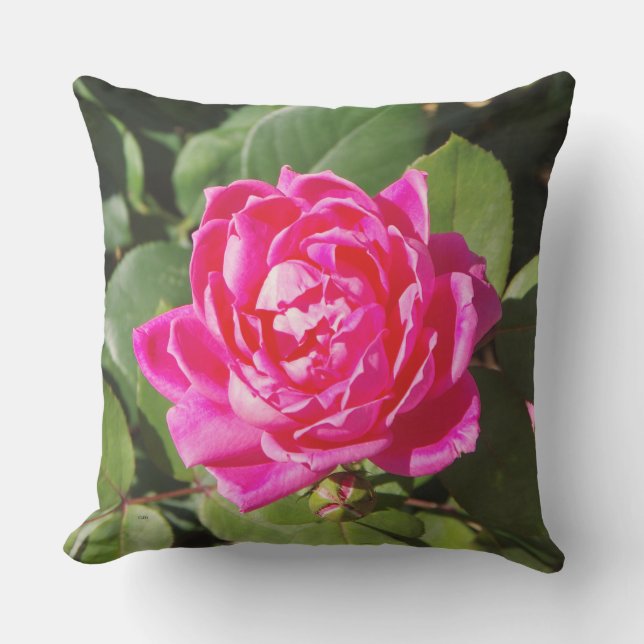 One Pink Rose Pillow Buitenkussen (Voorkant)