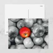 One Red Apple Briefkaart (Voorkant / Achterkant)