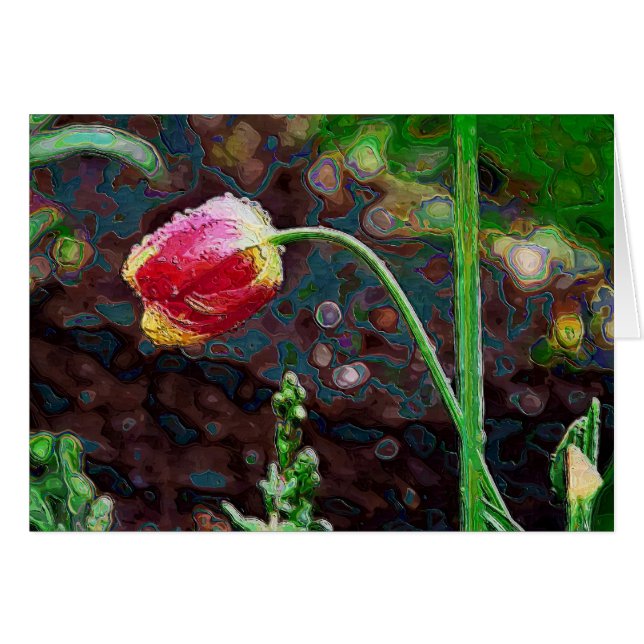 One Red Parrot (Voorkant Horizontaal)