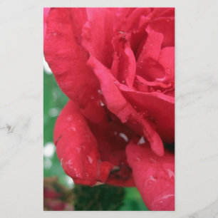 One Red Rose Briefpapier