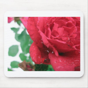 One Red Rose Muismat