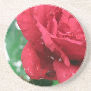 One Red Rose Zandsteen Onderzetter