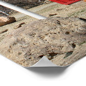 One-Room Red Schoolhouse, Wellington, Nevada Poster (Hoek)