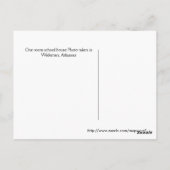 One Room School Post Card Briefkaart (Achterkant)