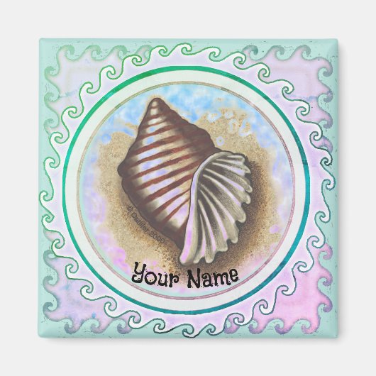 One seashell  magneet (Voorkant)