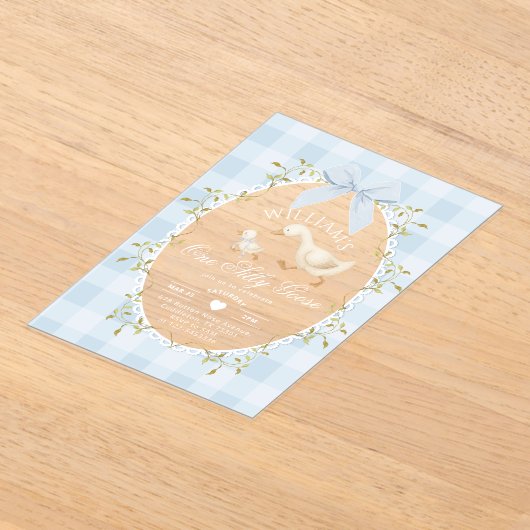 One Silly Goose Boy 1st BIrthday Gingham Whimsical Acryl Uitnodigingen (Laagn)