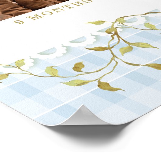 One Silly Goose Boy 1st Birthday Photo Milestone Poster (Hoek)