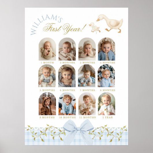 One Silly Goose Boy 1st Birthday Photo Milestone Poster (Voorkant)
