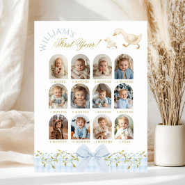 One Silly Goose Boy 1st Birthday Photo Milestone Poster
