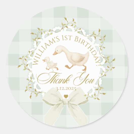 One Silly Goose Gender neutral Sage Birthday Ronde Sticker (Voorkant)