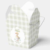 One Silly Goose Green Gingham Baby First Birthday Bedankdoosjes (Geopend)