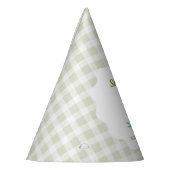 One Silly Goose Green Gingham Baby First Birthday Feesthoedjes (Links)