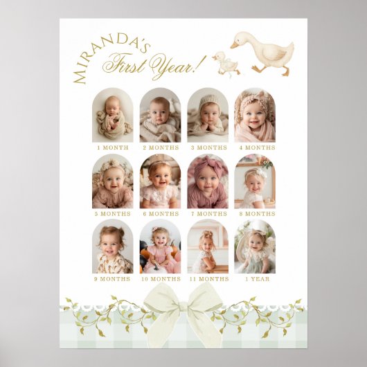 One Silly Goose Sage 1st Birthday Photo Milestone Poster (Voorkant)
