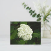 One Snowball Bloom Briefkaart (Staand voorkant)