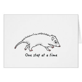 One Step Possum