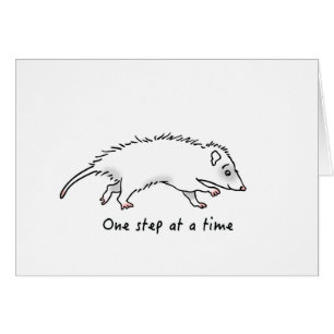 One Step Possum