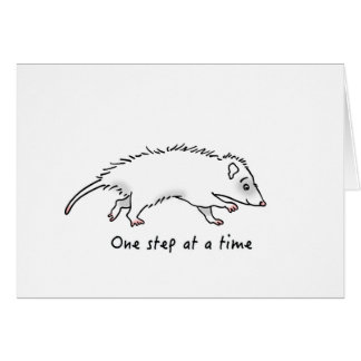 One Step Possum