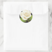 One White Rose Ronde Sticker (Tas)
