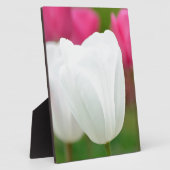 One White Tulip Fotoplaat (Zijkant)