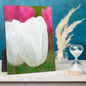 One White Tulip Fotoplaat (Zijkant)