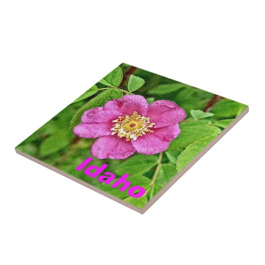 One Wild Roos - Idaho Tegeltje (Zijkant)