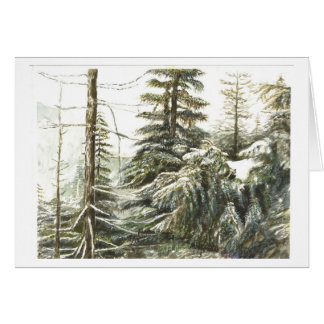 One Wintery Forest