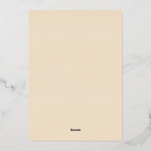 Onederful World Hete Luchtballon 1e Verjaardag Folie Uitnodiging (Achterkant)