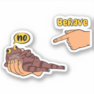 Oneerlijke Kikker Grappige Kikker Meme Gedraag je  Sticker