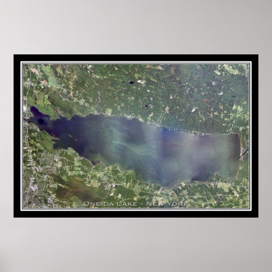 Oneida Lake New York Satellite Poster Map (Voorkant)
