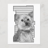 oneigenlijke herdenkingskaart voor gezelschapsdier (Achterkant)