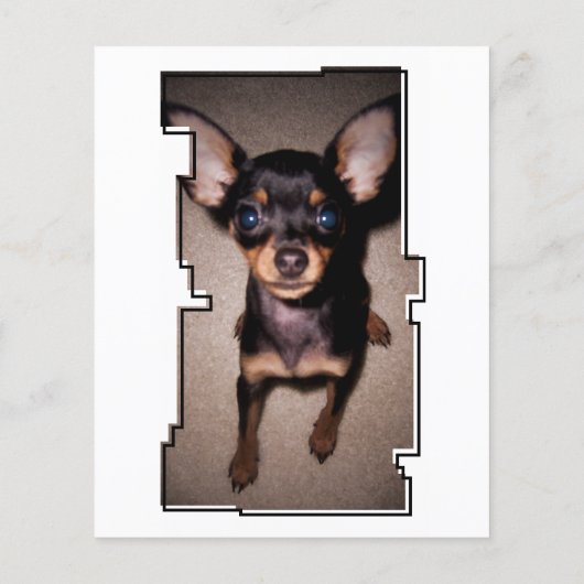 oneigenlijke herdenkingskaart voor gezelschapsdier (Achterkant)