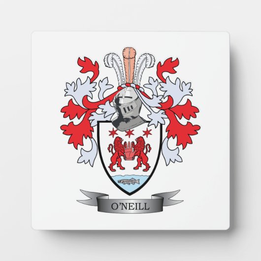 O'Neill-jasje over wapens Fotoplaat (Voorkant)