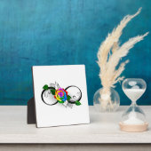 Oneindigheidssymbool met regenboogroos fotoplaat (Insitu)