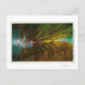 Oneonta Gorge in Columbia River Gorge Briefkaart (Voorkant)