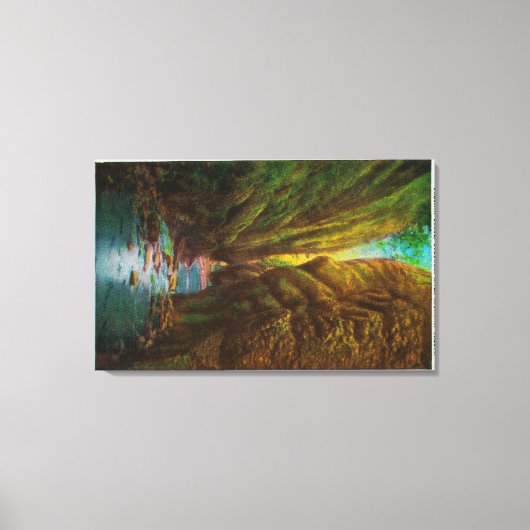 Oneonta Gorge in Columbia River Gorge Canvas Afdruk (Voorkant)