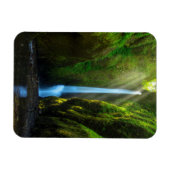 Oneonta Herfsten Magneet (Horizontaal)