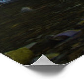 Oneonta Herfsten Poster (Hoek)