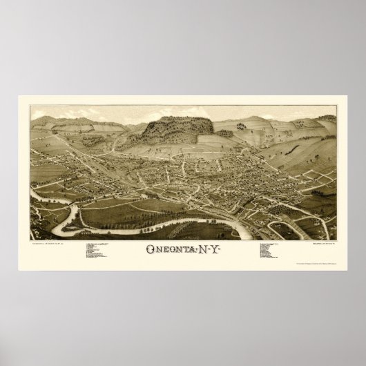 Oneonta, NY Panoramic Map - 1884 Poster (Voorkant)