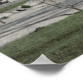 Oneonta Park & Raymond Hotel Poster (Hoek)