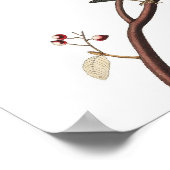 Ongebruikelijk  Audubon Warbler Poster afdrukken (Hoek)