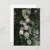 Ongebruikelijk terwijl Clematis Notitiekaartje (Voorkant / Achterkant)