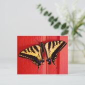 ongebruikelijke achtergrondzwaluw briefkaart (Staand voorkant)