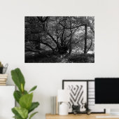 Ongebruikelijke boom, Bute Park, Cardiff, Wales BW Poster (Thuiskantoor)