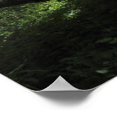 Ongebruikelijke boom, Bute Park, Cardiff, Wales Poster (Hoek)