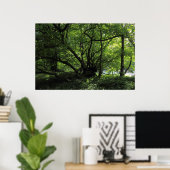 Ongebruikelijke boom, Bute Park, Cardiff, Wales Poster (Thuiskantoor)