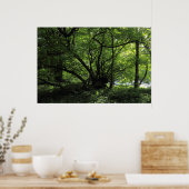 Ongebruikelijke boom, Bute Park, Cardiff, Wales Poster (Keuken)