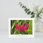 Ongebruikelijke Braziliaanse kaarsen of Vele Bloem Briefkaart (Staand voorkant)