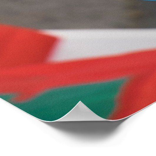 Ongebruikelijke kippenspleet poster (Hoek)