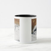 Ongebruikelijke wolkenformaties mok (Midden)