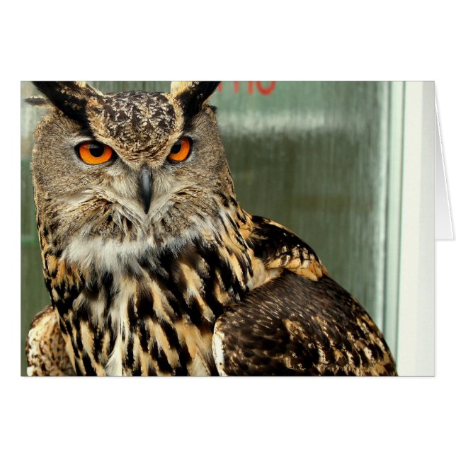 ongedefinieerd (Voorkant Horizontaal)